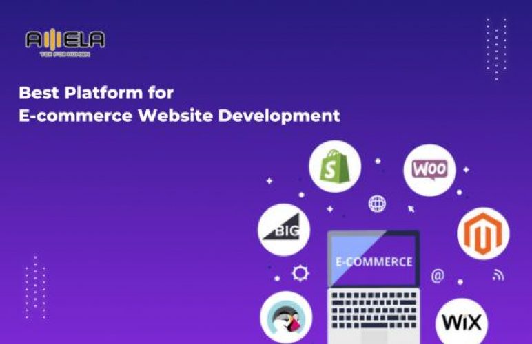 Best Platform for Ecommerce Website Development: Pros & Cons