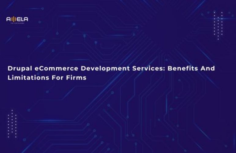 Drupal eCommerce Development Services: Benefits And Limitations For Firms