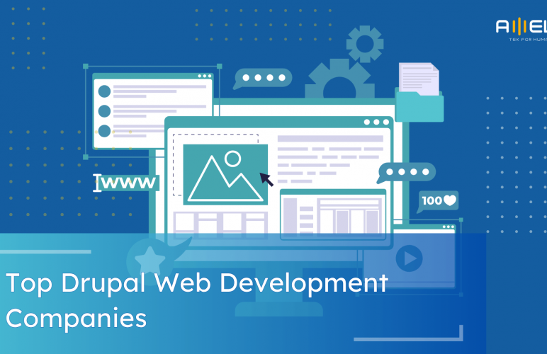 Top Drupal Web Development Companies