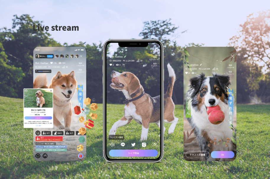 Pet livestreaming app