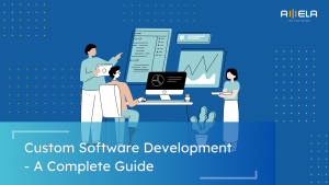 Custom Software Development Guide With Examples for 2026