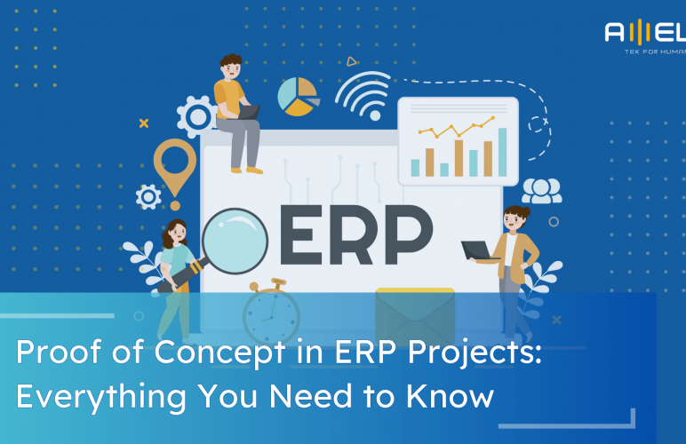 Proof of Concept in ERP Projects