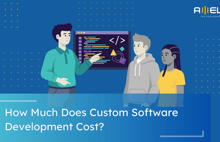 How Much Does Custom Software Development Cost?
