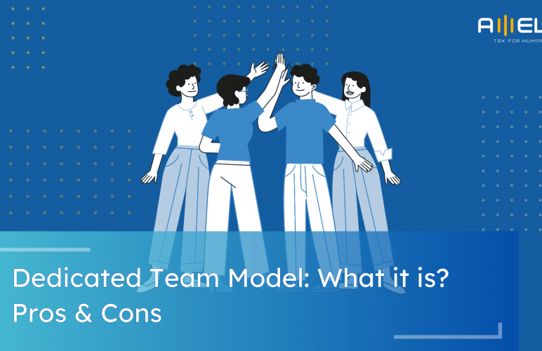 Dedicated Team Model