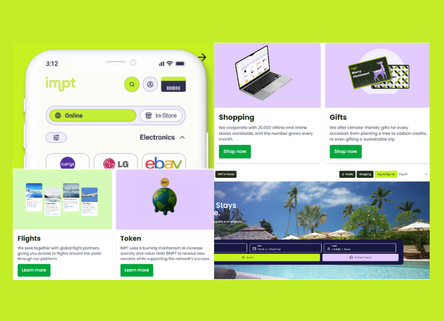 Web 3 project details