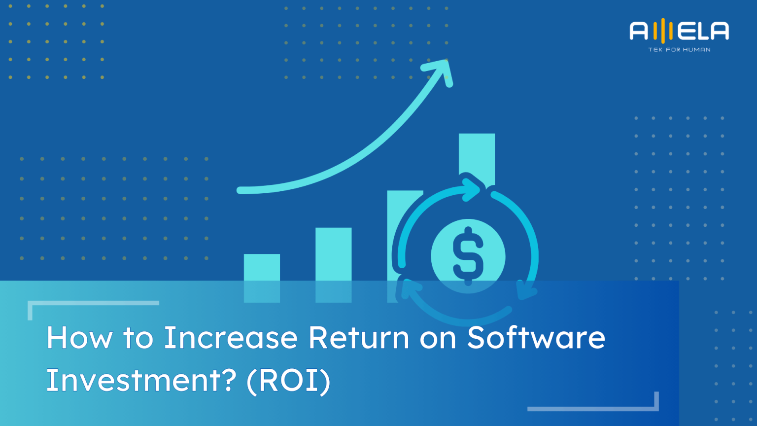 How to Increase Return on Software Investment? ROI Tips