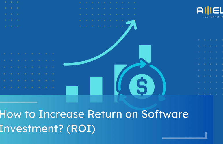 How to Increase Return on Software Investment?