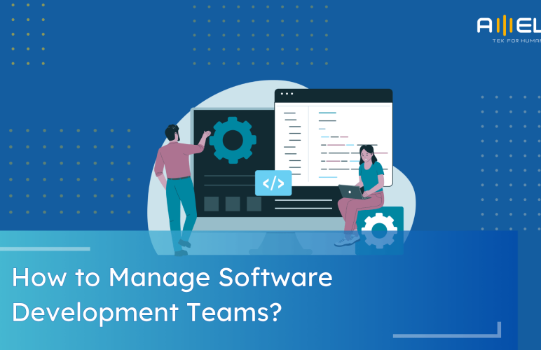 Managing software teams