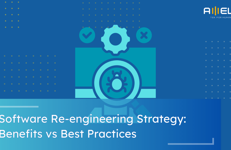 Software Re-engineering Strategy