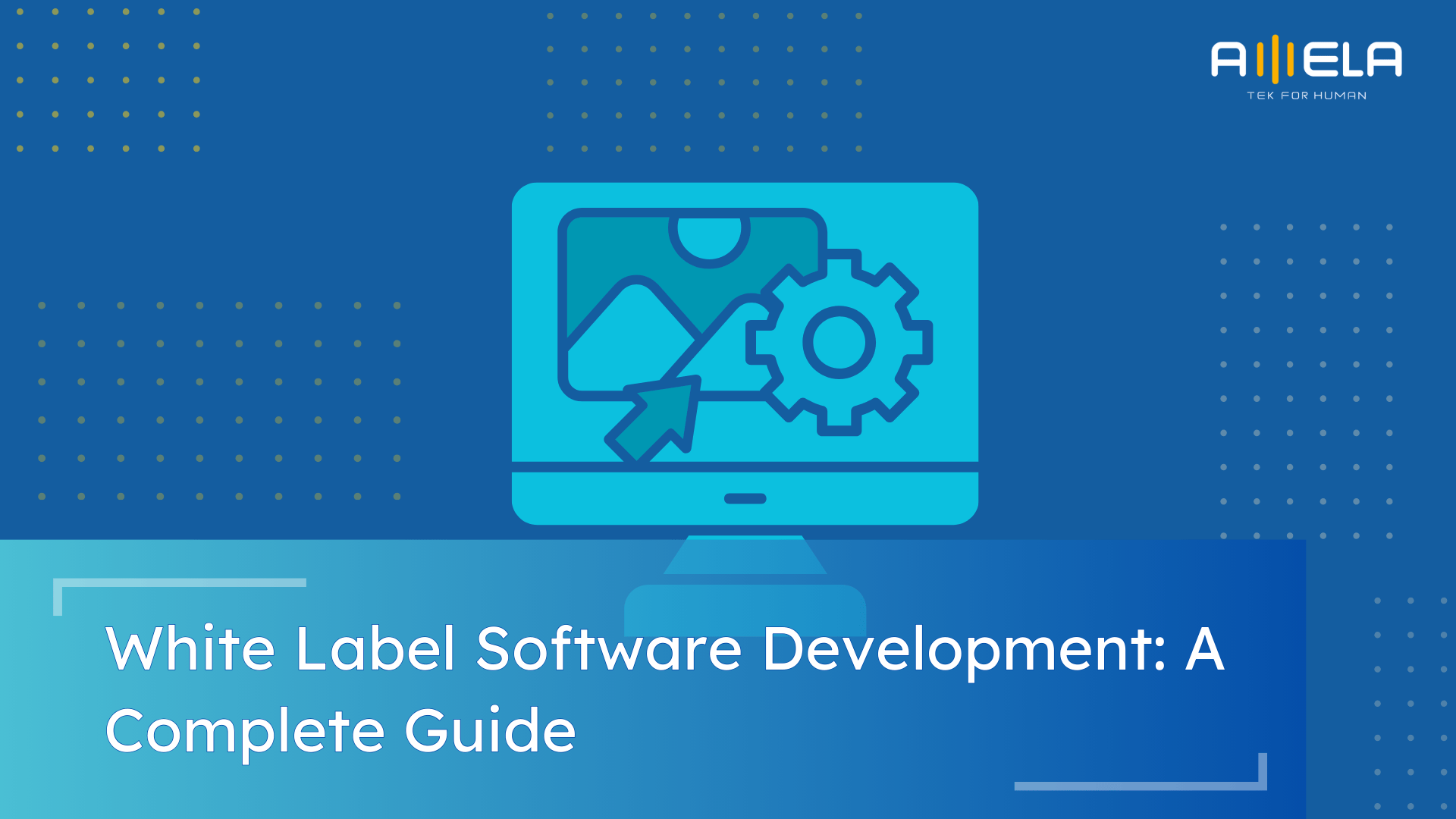 White Label Software Development: Types, Process vs Best Practices
