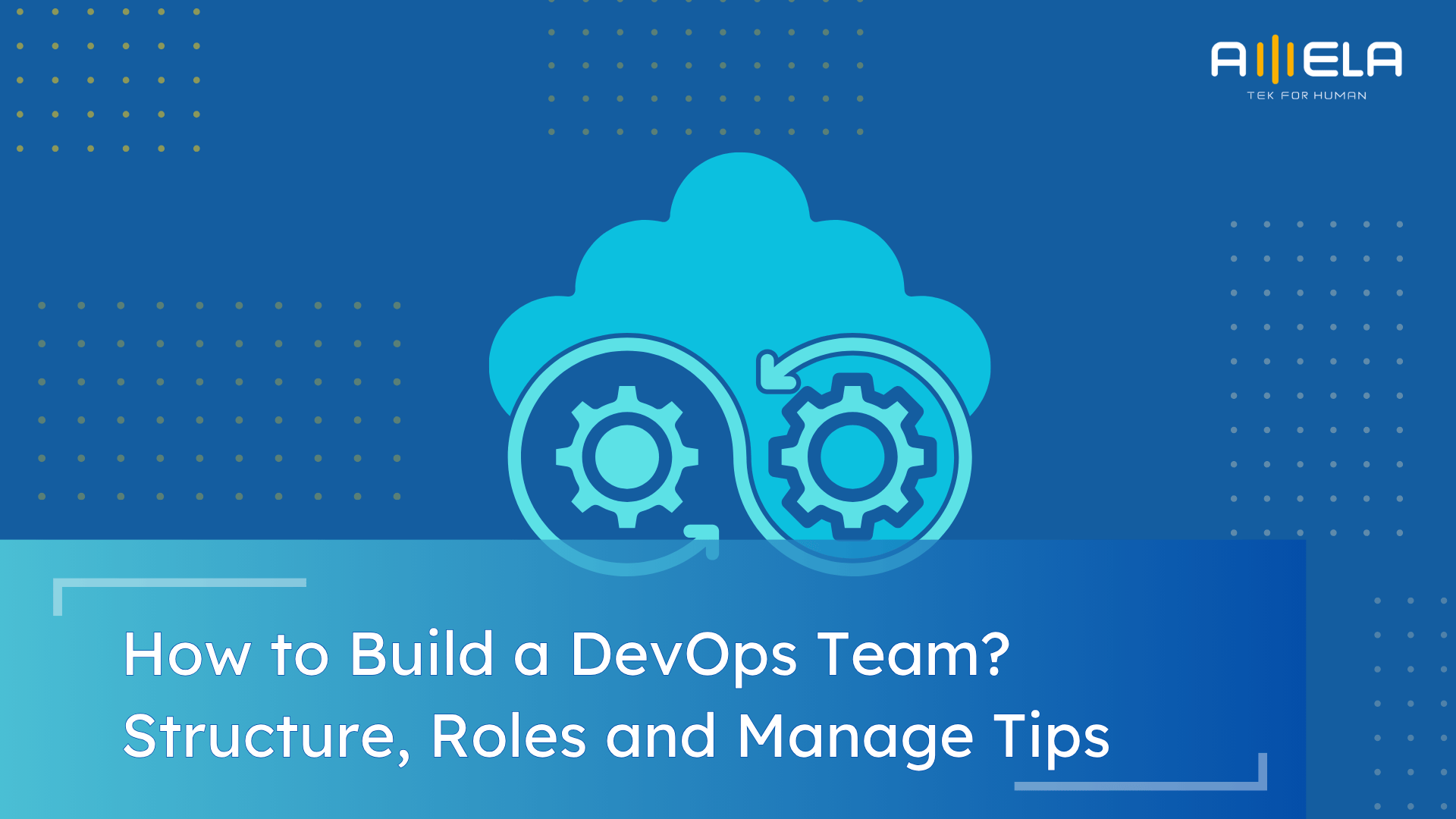 How to Build a DevOps Team? Structure, Roles and Manage Tips