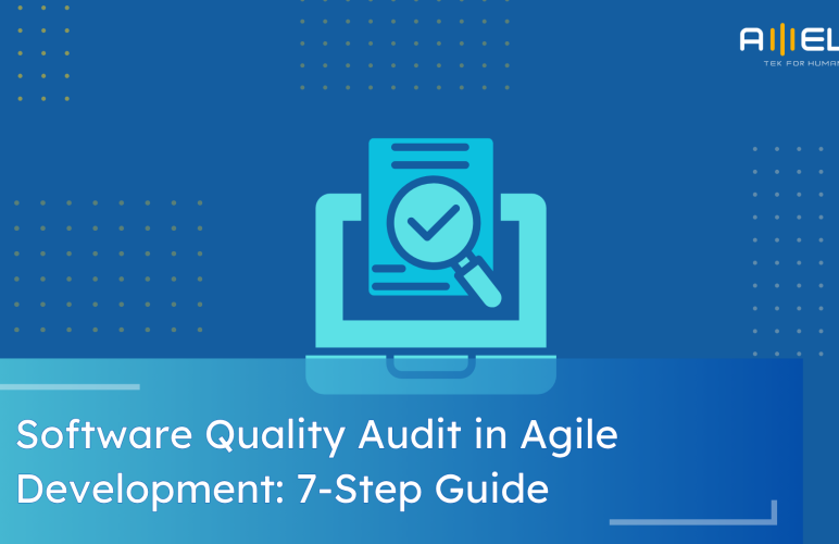 software quality audit